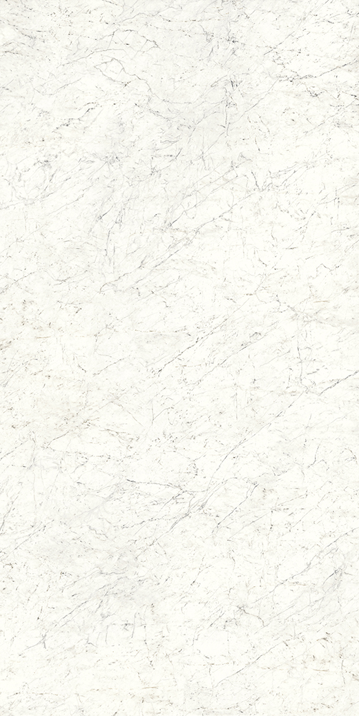 Colossus Carrara Polished 63"x126 | Color Body Porcelain | Slab