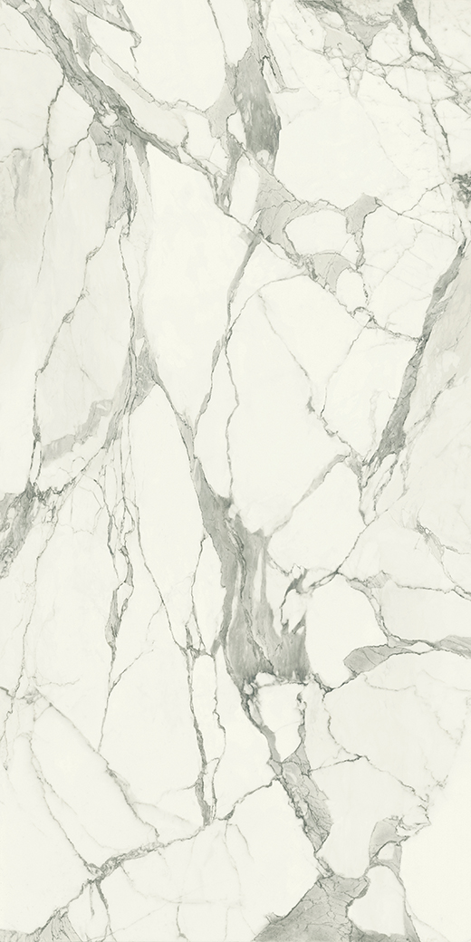 Colossus Corchia Polished 63"x126" Bookmatch B | Color Body Porcelain | Slab