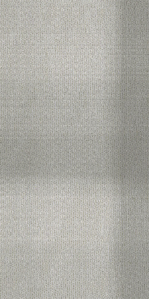 Cuadros Harrington Matte 24"x48" | Color Body Porcelain | Floor/Wall Tile