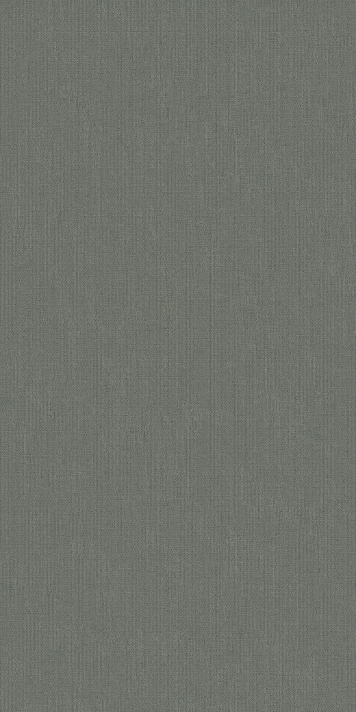 Cuadros Moss Matte 24"x48" | Color Body Porcelain | Floor/Wall Tile