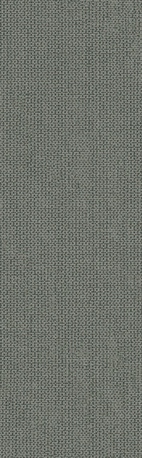 Cuadros Moss Matte 3.75"x12" | Color Body Porcelain | Floor/Wall Tile