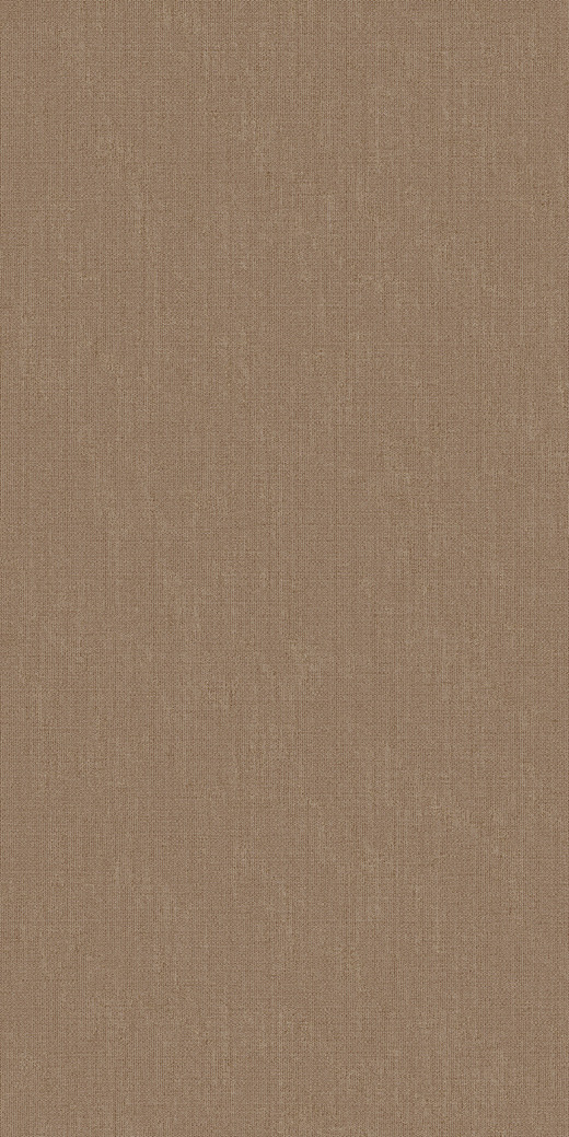 Cuadros Suede Matte 24"x48" | Color Body Porcelain | Floor/Wall Tile