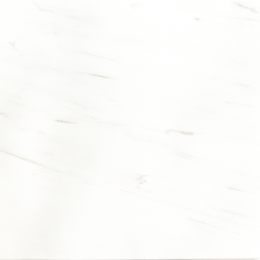 Dolomite Dolomite Honed 24"x24 | Marble | Floor/Wall Tile
