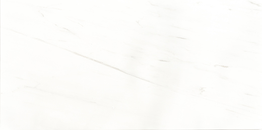 Dolomite Dolomite Polished 6"x12 | Marble | Floor/Wall Tile