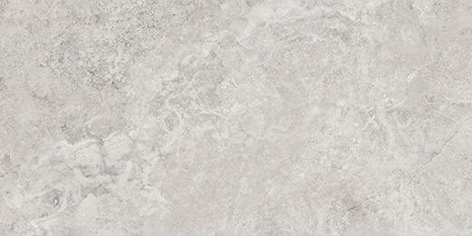 Edessa Silver Matte/Brushed 12"x24" | Color Body Porcelain | Floor/Wall Tile