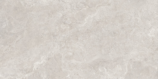 Edessa White Matte/Brushed 12"x24" | Color Body Porcelain | Floor/Wall Tile