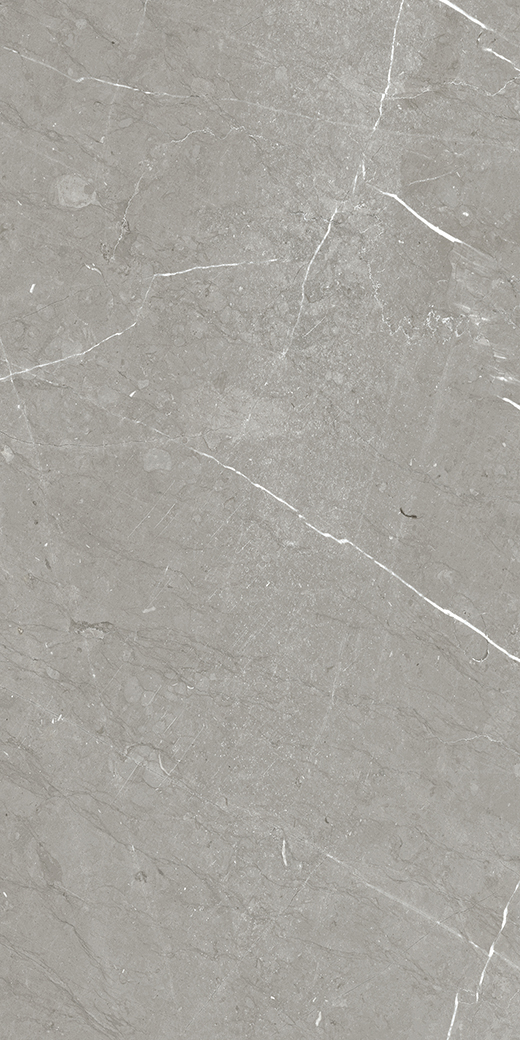 Elara Allure Polished 24"X48 | Color Body Porcelain | Floor/Wall Tile