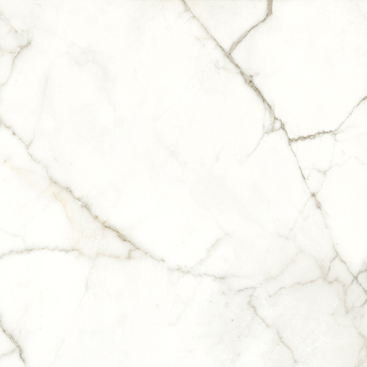 Elara Emotion Matte 24"X24 | Color Body Porcelain | Floor/Wall Tile