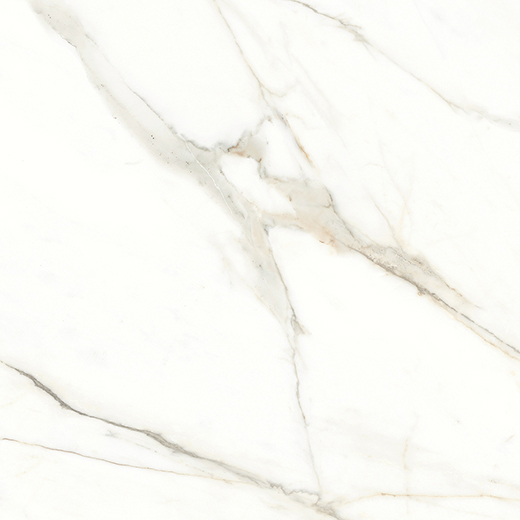 Elara Emotion Polished 24"X24 | Color Body Porcelain | Floor/Wall Tile