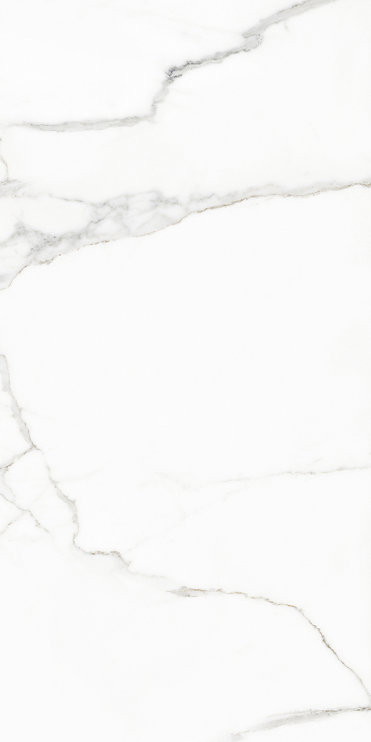 Elara White Beauty Matte 24"X48 | Color Body Porcelain | Floor/Wall Tile