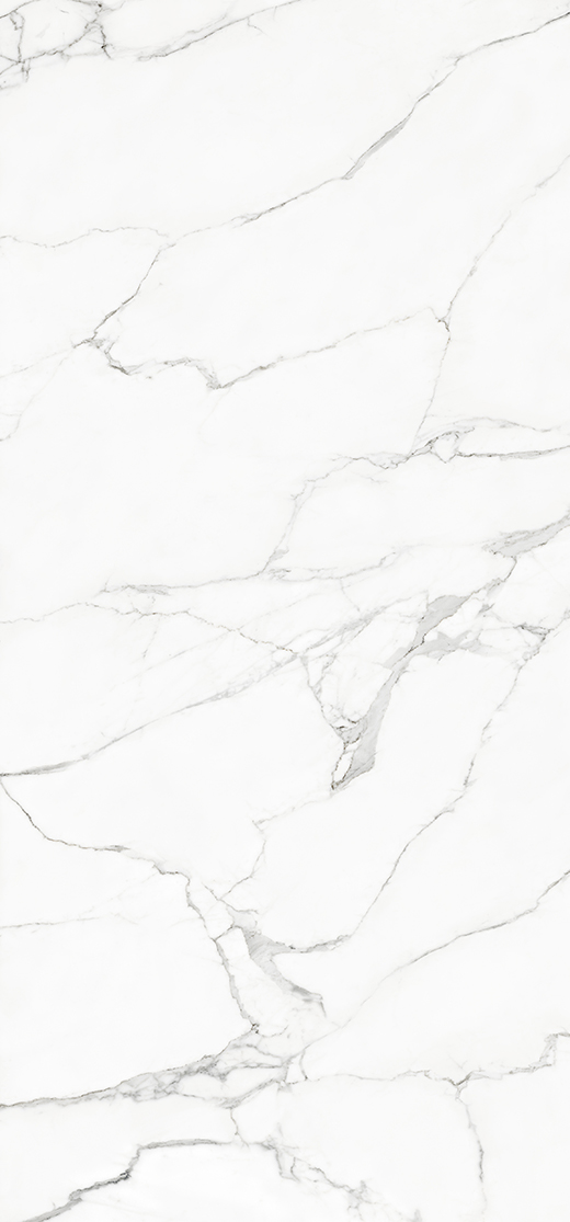 Elara White Beauty Polished 48"X102 | Color Body Porcelain | Slab