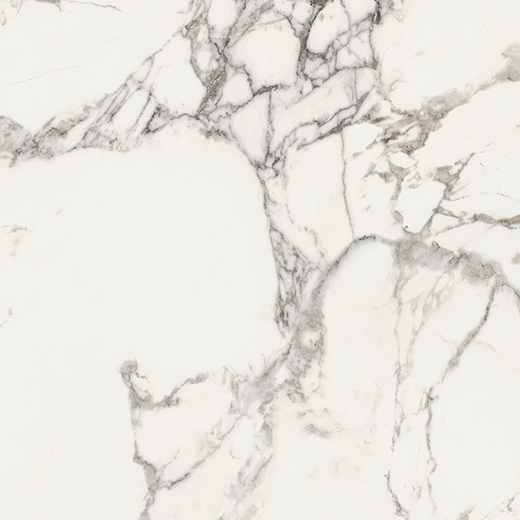 Emilia Arabescato Matte 24"x24 | Color Body Porcelain | Floor/Wall Tile