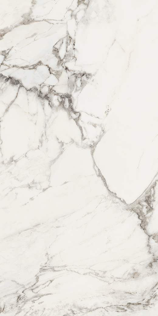 Emilia Arabescato Matte 24"x48 | Color Body Porcelain | Floor/Wall Tile