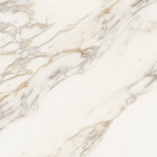 Emilia Calacatta Polished 48"x48 | Color Body Porcelain | Floor/Wall Tile