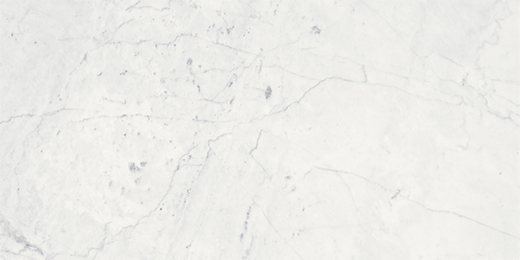 Eterna Bianco Honed 18"x36" | Marble | Floor/Wall