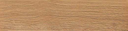 Etic Pro Paver Rovere Venice Natural 12"x48 | Throughbody Porcelain | Outdoor Paver