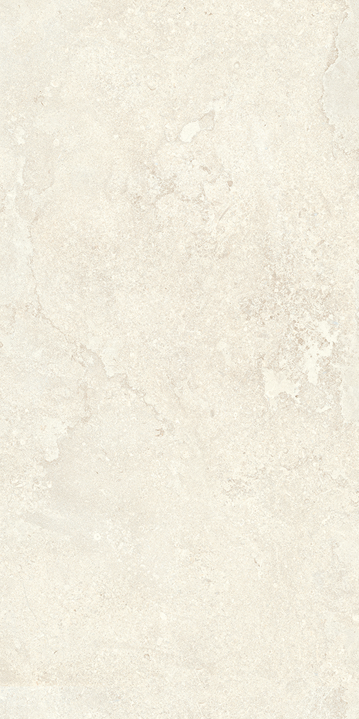 Exeter Fog Cross-Cut Matte 24"x48 | Color Body Porcelain | Floor/Wall Tile