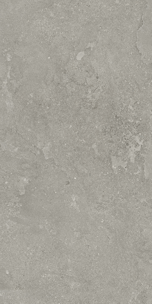 Exeter Fossil Cross-Cut Matte 24"x48 | Color Body Porcelain | Floor/Wall Tile