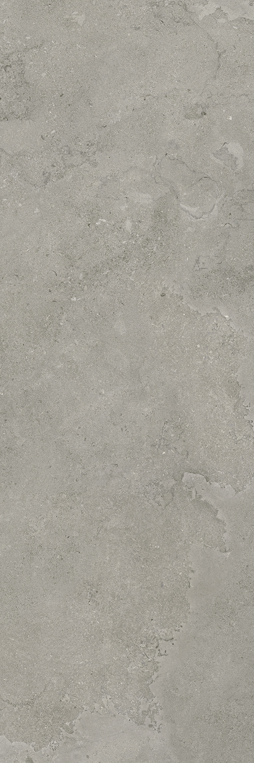 Exeter Fossil Cross-Cut Matte 32"x96 | Color Body Porcelain | Slab