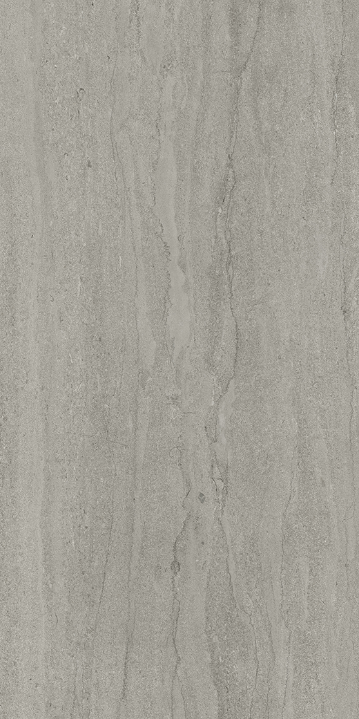 Exeter Fossil Vein-Cut Matte 24"x48 | Color Body Porcelain | Floor/Wall Tile