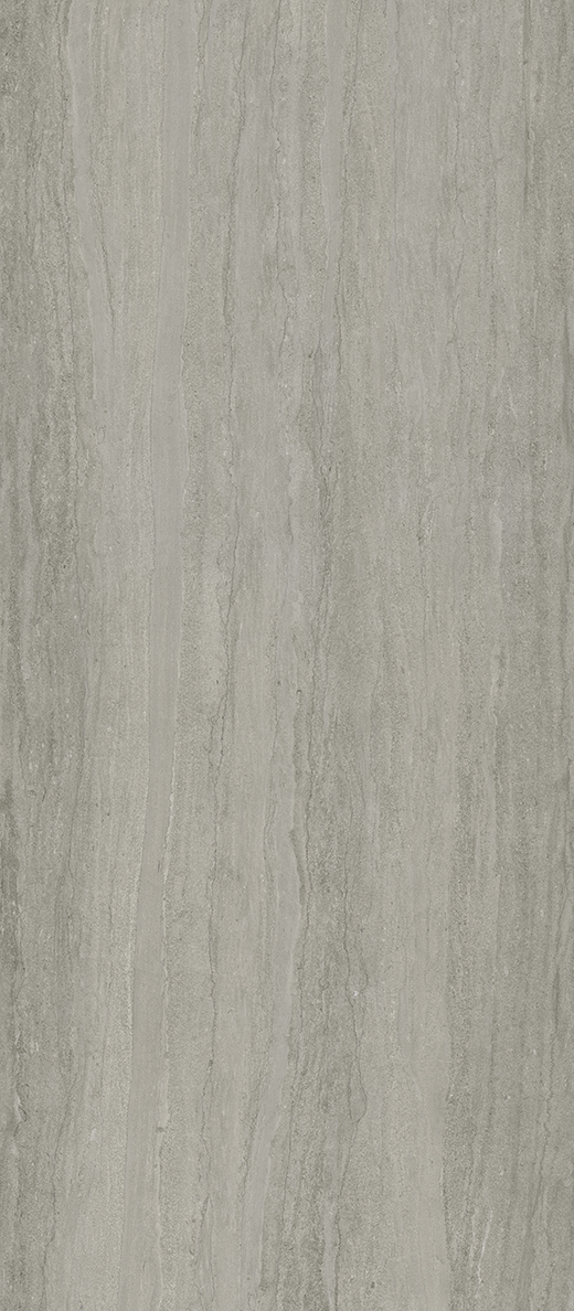 Exeter Fossil Vein-Cut Matte 48"x110 | Color Body Porcelain | Slab