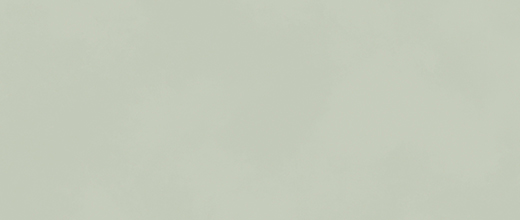 Expressions Mint Matte 20"x48 | Ceramic | Wall Tile