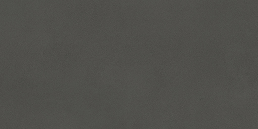Foundation Tarmac Matte 24"x48 | Color Body Porcelain | Floor/Wall Tile