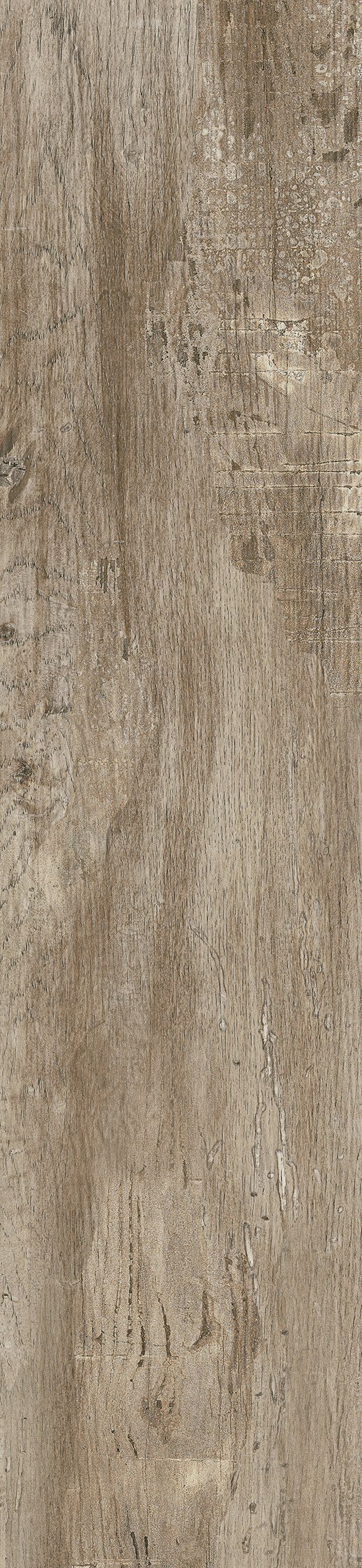 Fuji Mayo Natural 9"x40 | Color Body Porcelain | Floor/Wall Tile