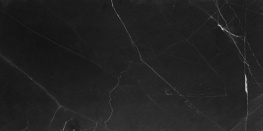 Galaxia Nero Polished 12"x24" | Marble | Floor/Wall
