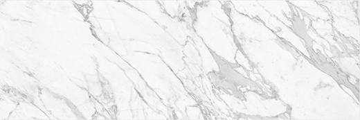 Glide Bianco Vita Matte 12"X36 | Ceramic | Wall Tile