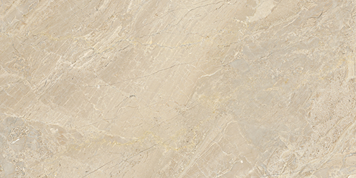 Impero Reale Honed 12"x24" | Marble | Floor/Wall
