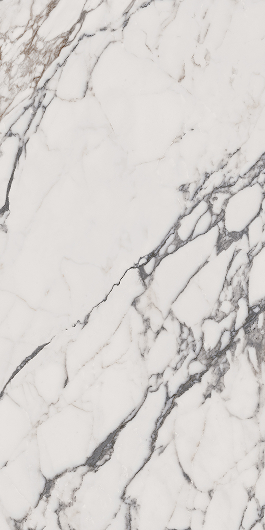 Indalgo Arabescato Polished 24"x48 | Color Body Porcelain | Floor/Wall Tile
