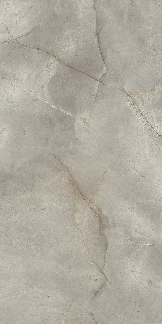 Intensa Mystic Brushed 12"x24 | Through Body Porcelain | Floor/Wall Tile