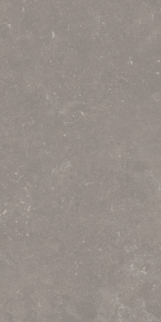 Kensington Atlas Gray Matte 12"x24 | Color Body Porcelain | Floor/Wall Tile