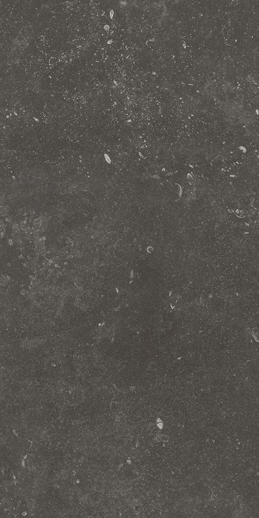 Kensington Fossil Black Matte 12"x24 | Color Body Porcelain | Floor/Wall Tile