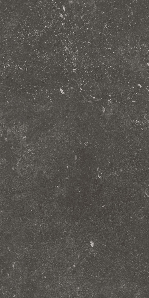 Kensington Fossil Black Matte 12"x24 | Color Body Porcelain | Floor/Wall Tile