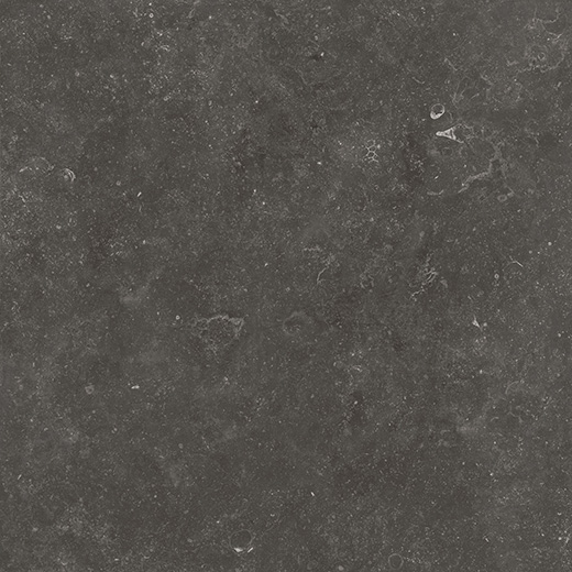 Kensington Fossil Black Matte 24"x24 | Color Body Porcelain | Floor/Wall Tile