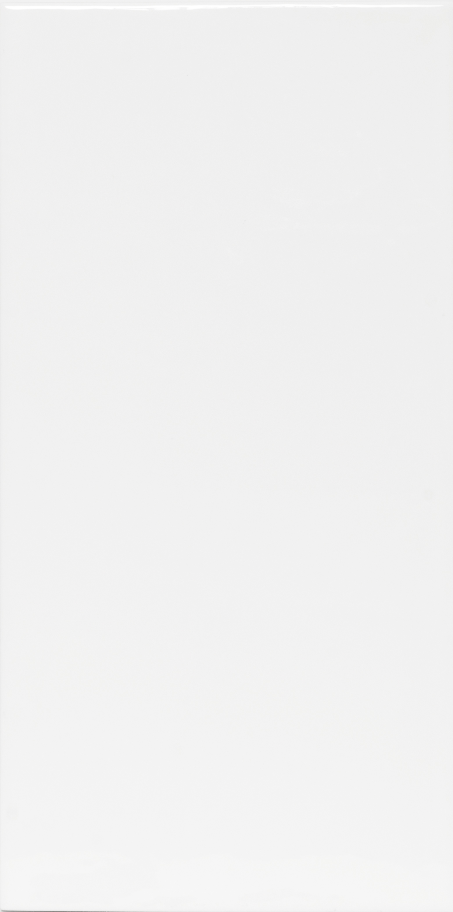 Link Bianco Glossy 5.2"X10.5 | Ceramic | Wall Tile