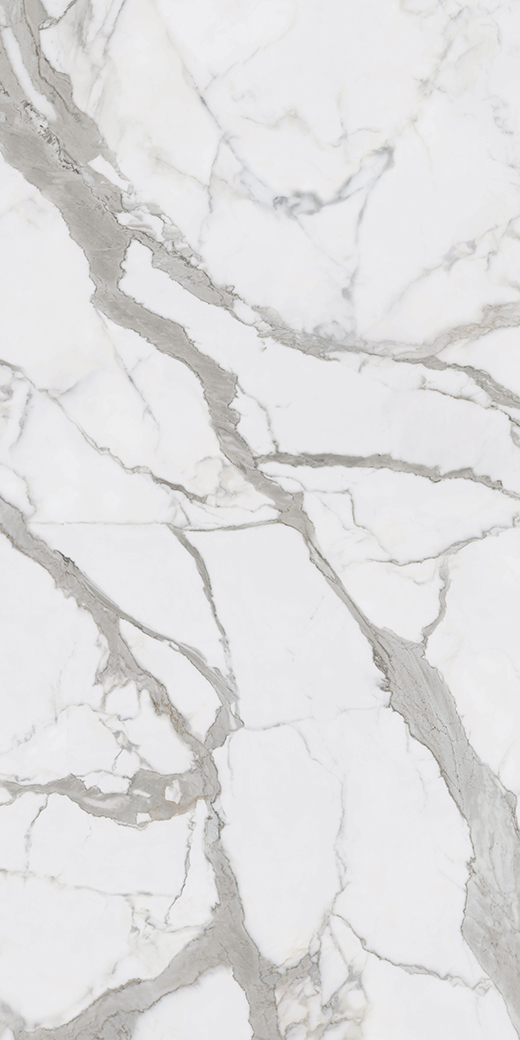 Livorno Collection Slabs Bernini Classico Honed 120"x60 | Color Body Porcelain | Slab