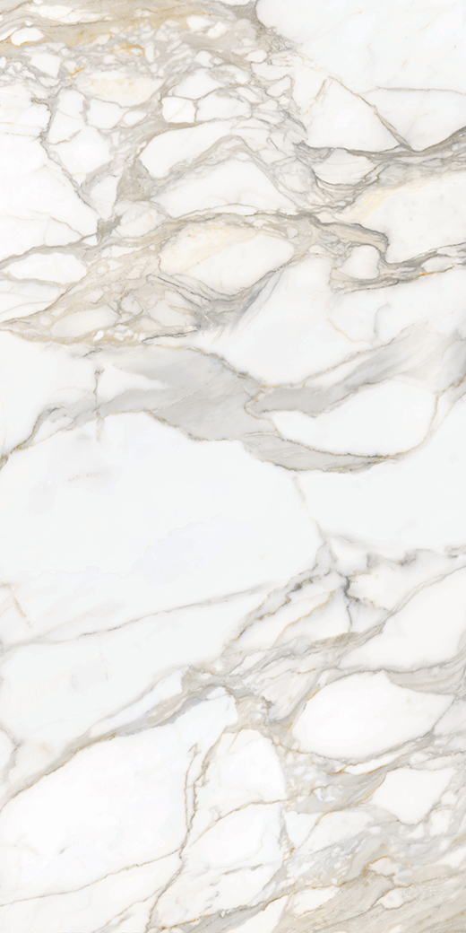 Livorno Collection Slabs Bernini Oro Honed 120"x60 | Color Body Porcelain | Slab