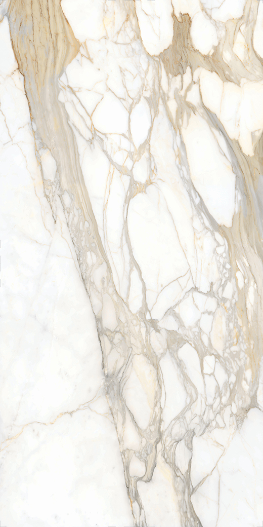 Livorno Collection Slabs Bernini Oro Polished 126"x60" A | Color Body Porcelain | Slab