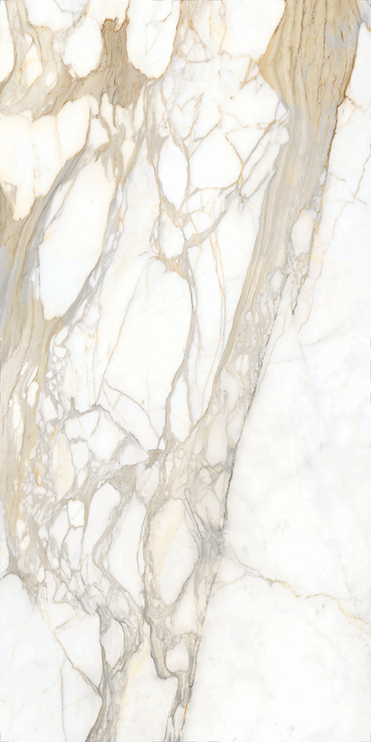 Livorno Collection Slabs Bernini Oro Polished 126"x60" B | Color Body Porcelain | Slab