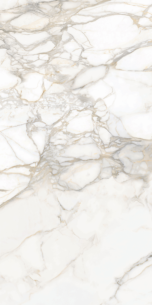 Livorno Collection Slabs Bernini Oro Polished 120"x60 | Color Body Porcelain | Slab