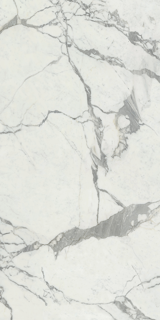 Livorno Collection Slabs White Statuario Honed 120"x60 | Color Body Porcelain | Slab