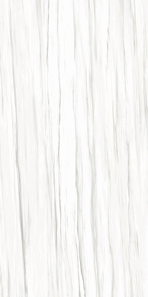 Livorno Collection Slabs Zebrino Carrara Polished 120"x60 | Color Body Porcelain | Slab