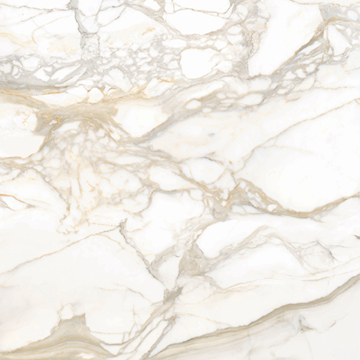 Livorno Bernini Oro Honed 30"X30" 6mm | Color Body Porcelain | Floor/Wall Tile