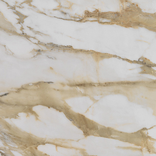 Luxury Imperial Gold Calacatta Matte 24"X24 | Color Body Porcelain | Floor/Wall Tile