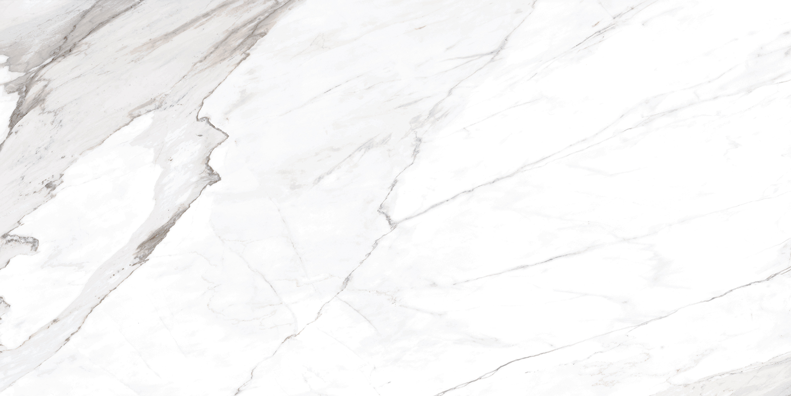 Marbella Apuano Polished 12"x24 | Color Body Porcelain | Floor/Wall Tile