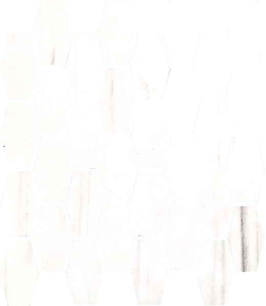 Marbella Dolomite Matte 12"x11" Hexagon Mosaic Sheet | Color Body Porcelain | Floor/Wall Mosaic