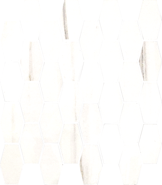 Marbella Dolomite Polished 12"x11" Hexagon Mosaic Sheet | Color Body Porcelain | Floor/Wall Mosaic